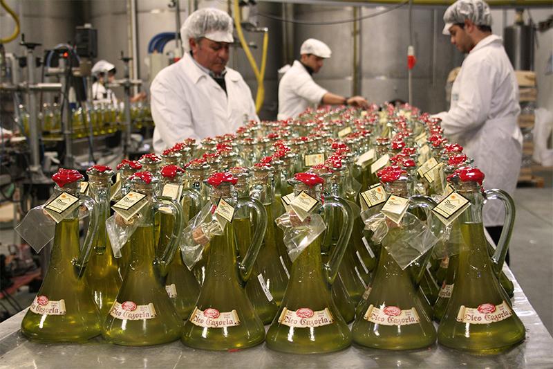 Производство оливкого масла